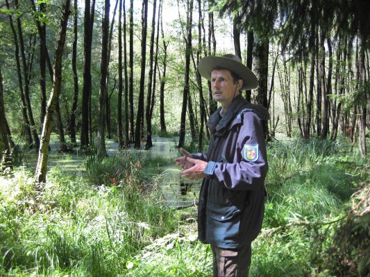 Ranger Roland Weber bei Moor- und Waldexkursion (Foto: NP Müritz / Christina Weisphal)